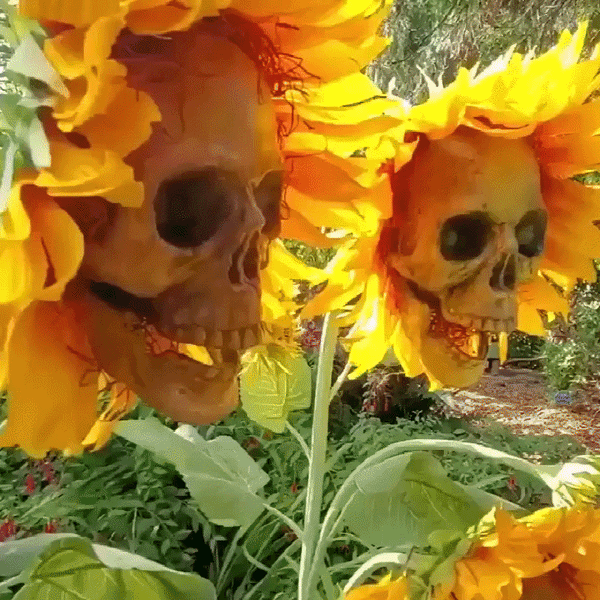 SkullBloom™ – Waar Bloemen Een Duistere Twist Krijgen