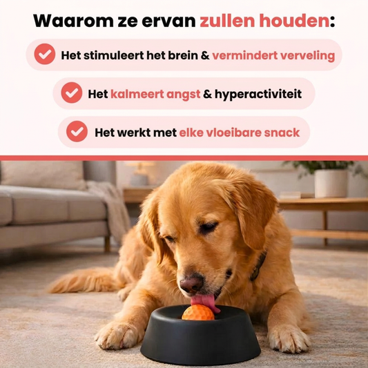 EasyLick™ – Kalmerende likkom voor ontspanning en verrijking